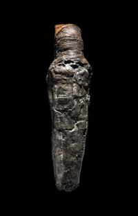 An Egyptian Falcon Mummy