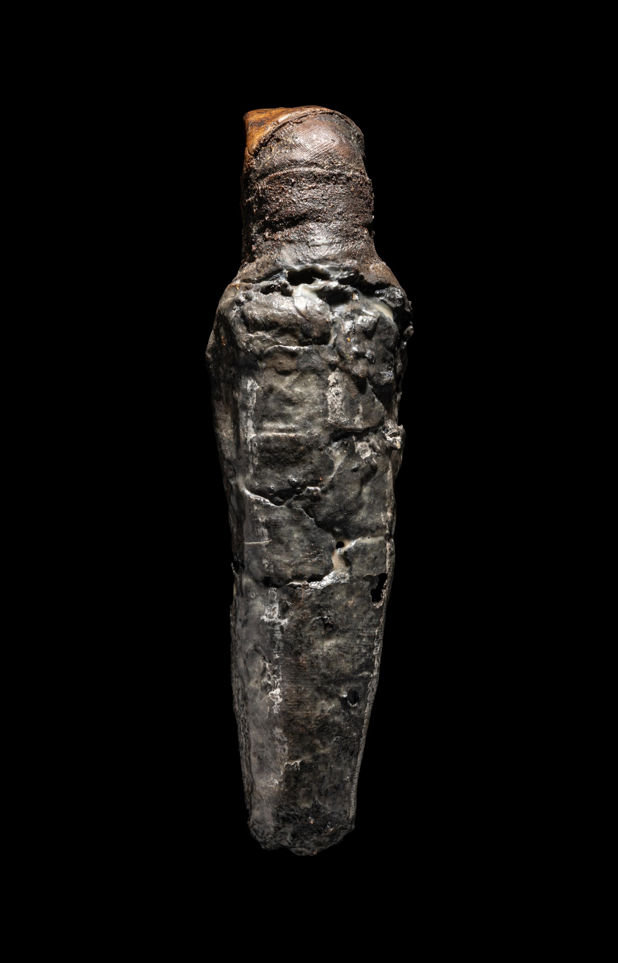 An Egyptian Falcon Mummy