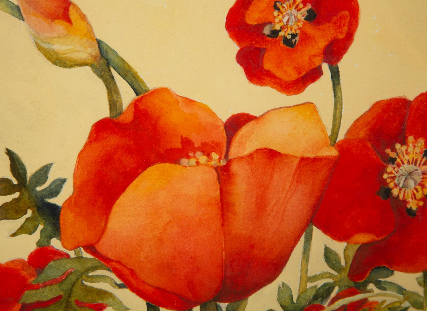 Poppies