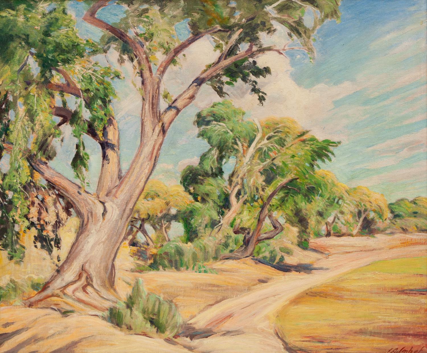 Cottonwoods
