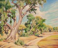 Cottonwoods