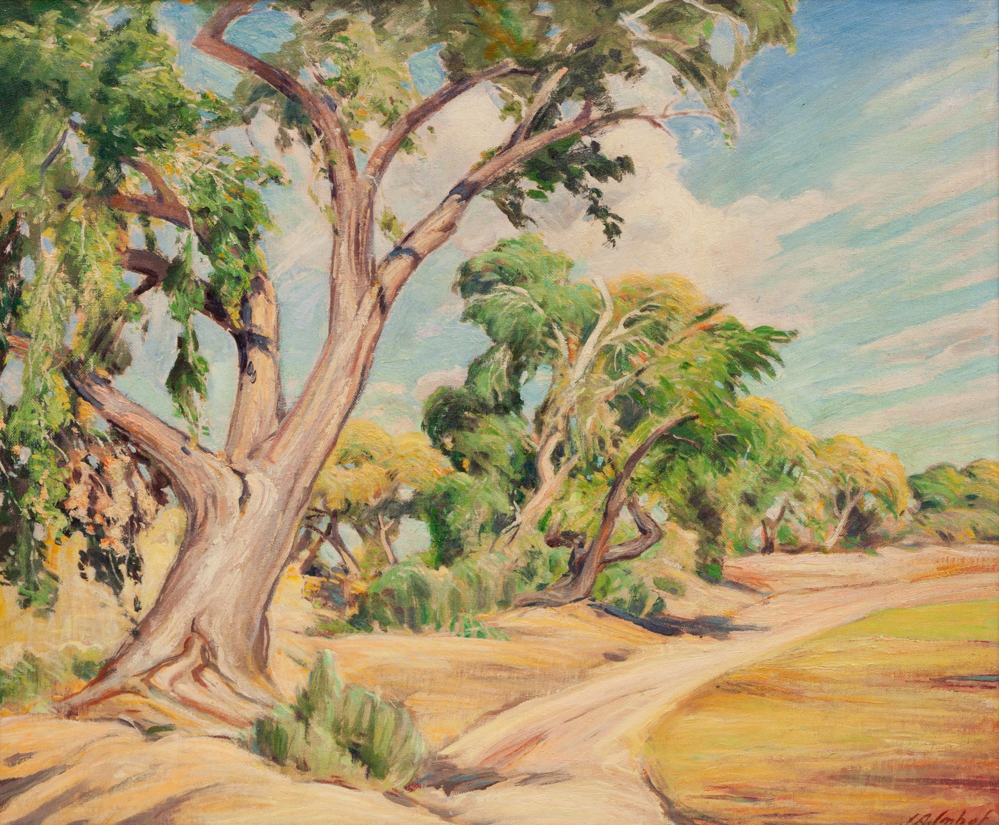 Cottonwoods