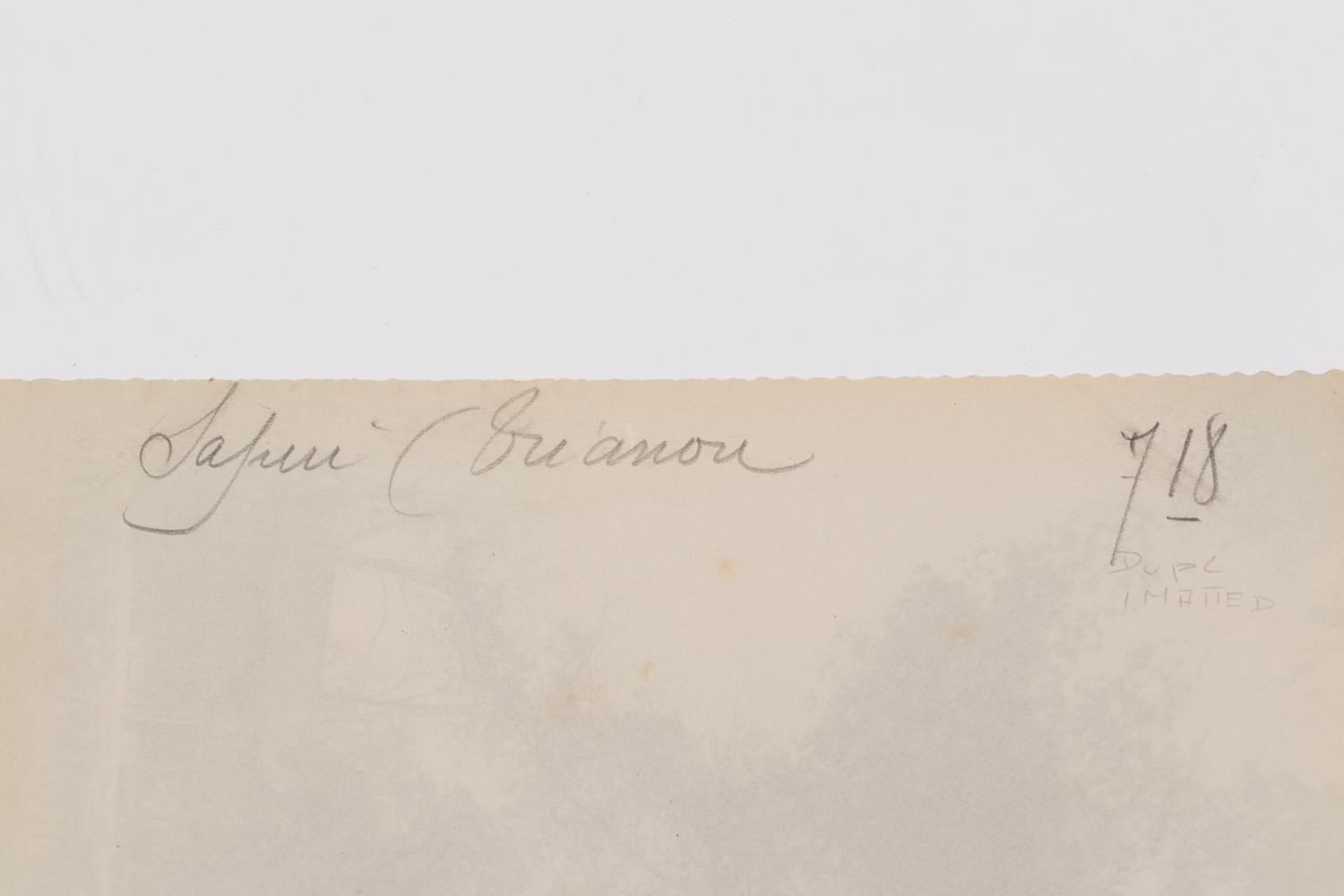 A group of four photographs ( Cactus [Nice], before 1900 ; Pommiers [et blés] , 1910 or earlier; Sapin ([Petit] Trianon , 1910 or earlier; Palmier , before 1900)