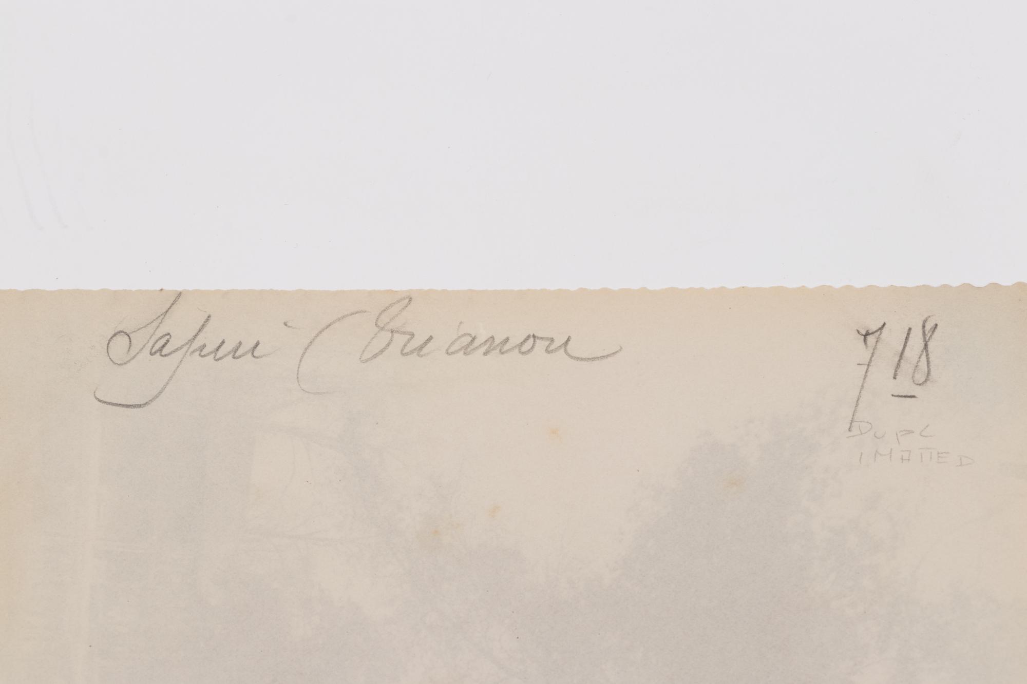 A group of four photographs ( Cactus [Nice], before 1900 ; Pommiers [et blés] , 1910 or earlier; Sapin ([Petit] Trianon , 1910 or earlier; Palmier , before 1900)