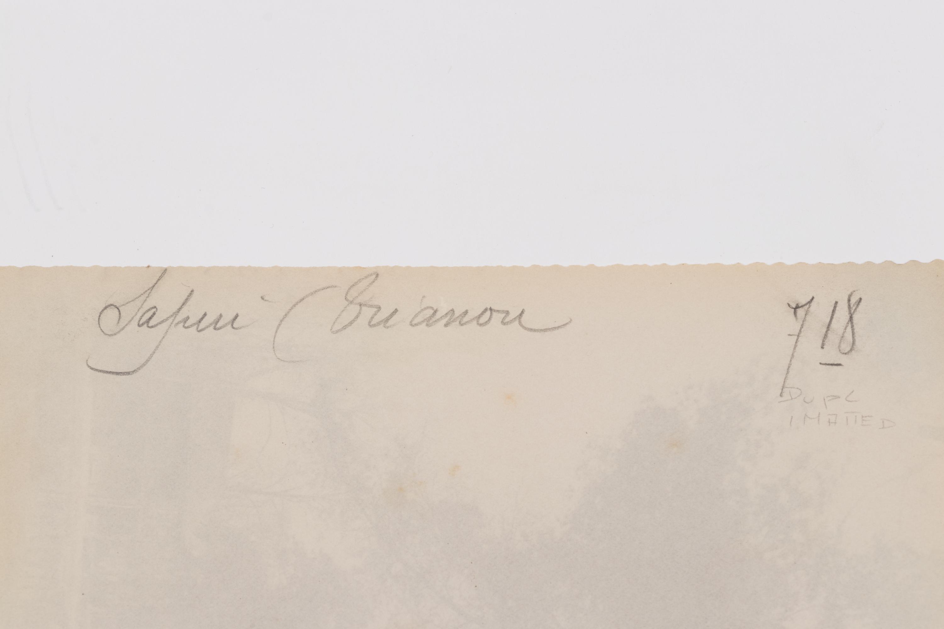 A group of four photographs ( Cactus [Nice], before 1900 ; Pommiers [et blés] , 1910 or earlier; Sapin ([Petit] Trianon , 1910 or earlier; Palmier , before 1900)