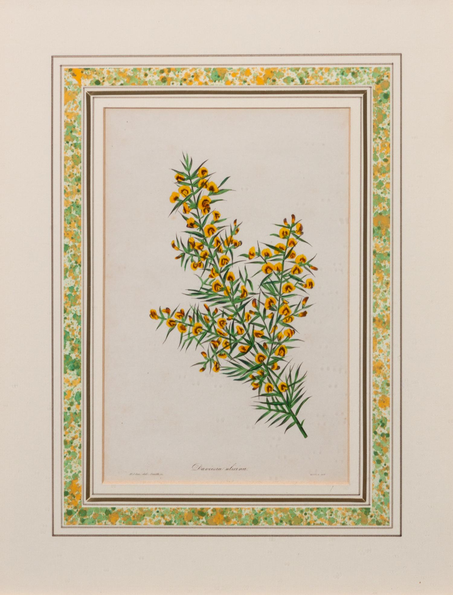 A Group of Three Handcolored Botanical Engravings Largest: 19 3/4 x 15 1/4 inches.