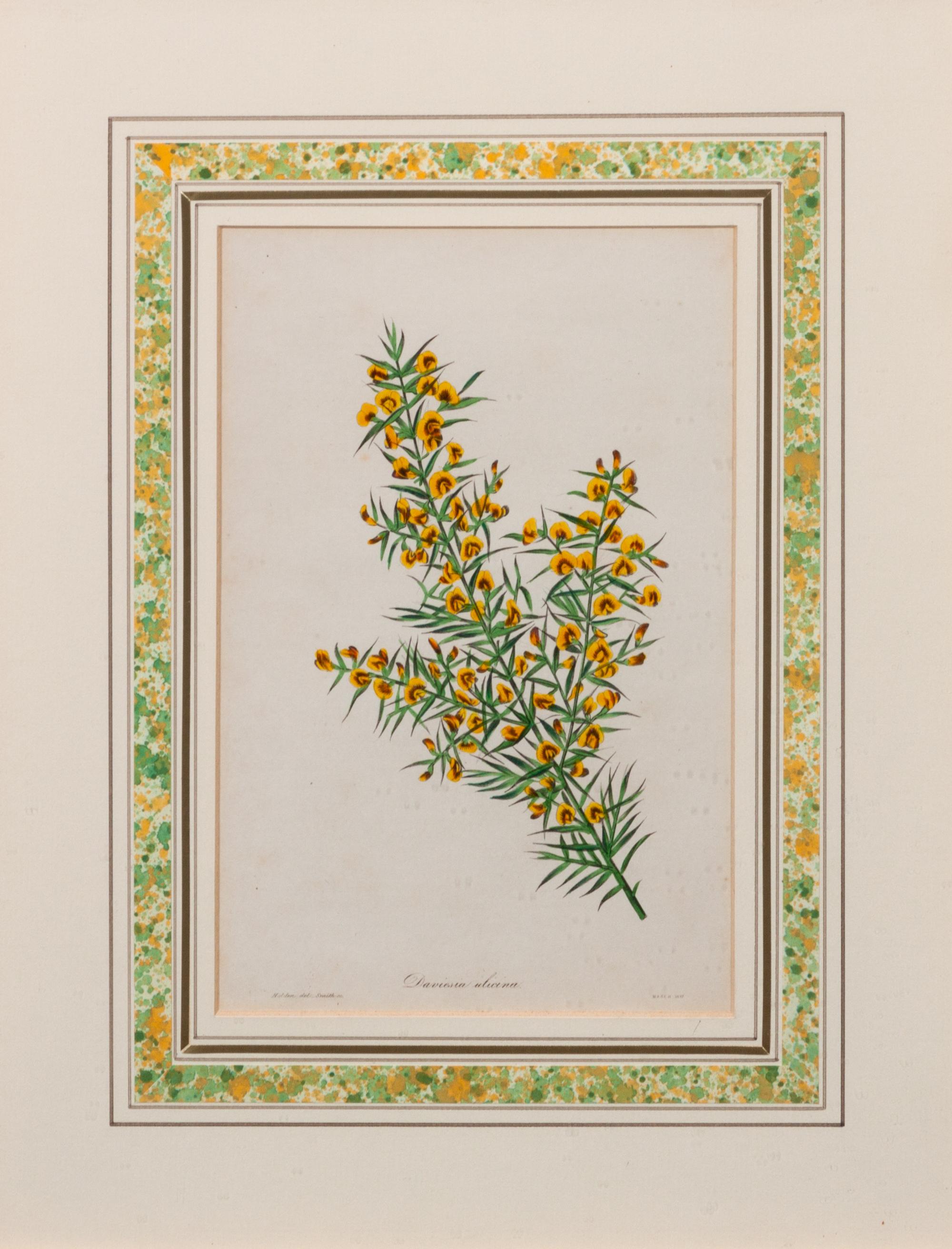 A Group of Three Handcolored Botanical Engravings Largest: 19 3/4 x 15 1/4 inches.