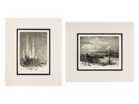 Two Works: Verde River, Apache Reservation, Arizona and Soap Weed