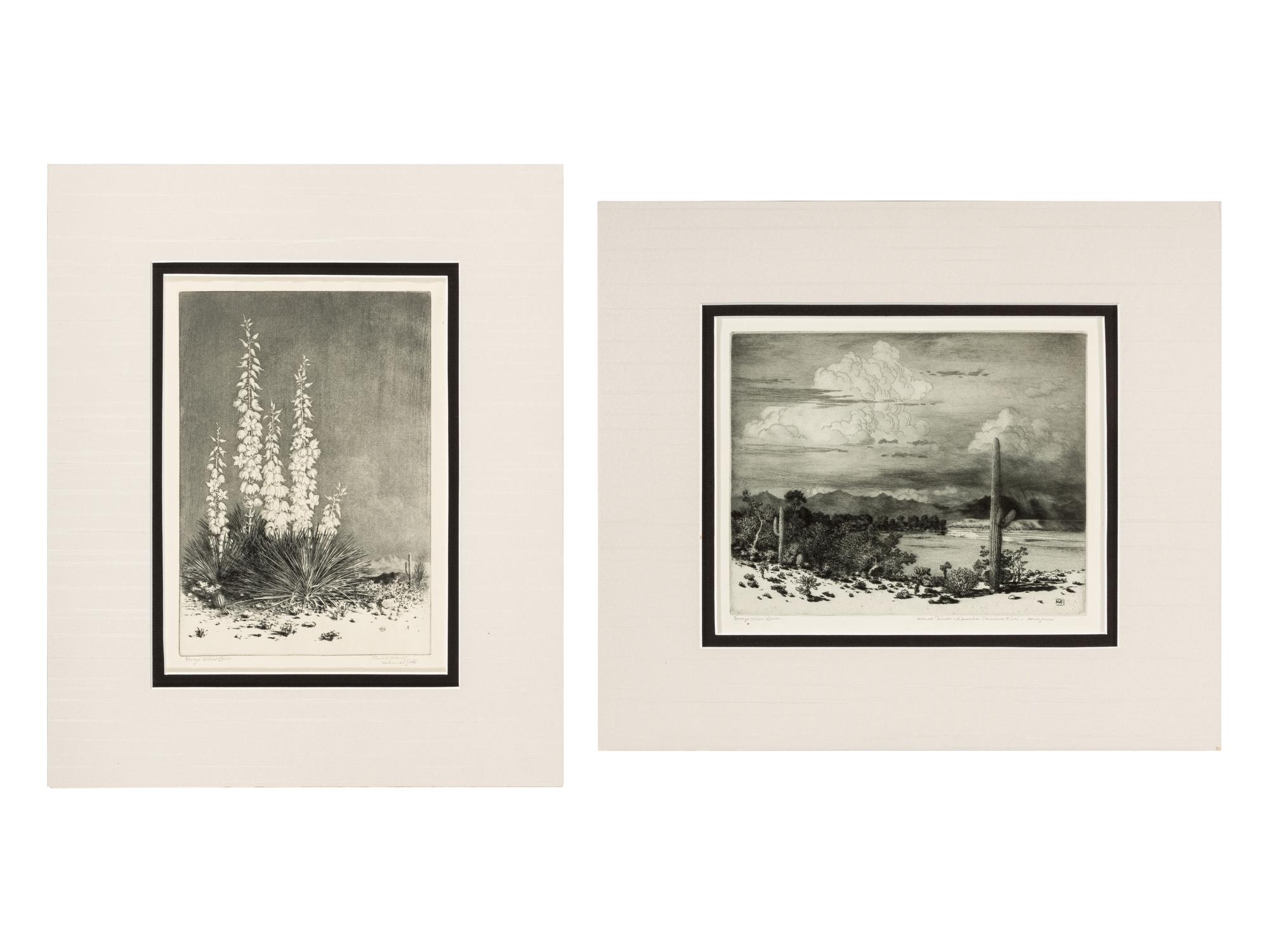 Two Works: Verde River, Apache Reservation, Arizona and Soap Weed