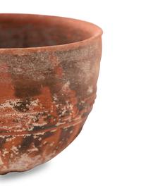 A Greek Megarian-Ware Bowl