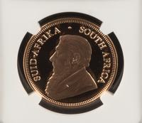 A South Africa 2014 Krugerrand: 20 Years of Democracy 1 Oz. Gold Proof