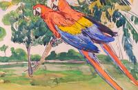 Two Macaws