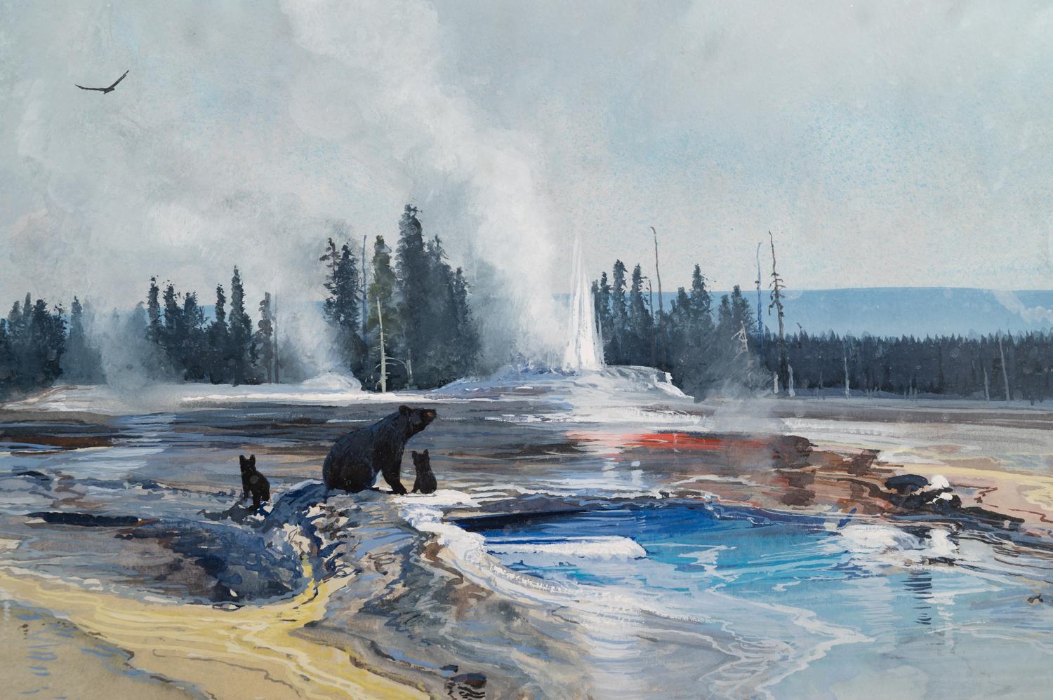 Geyser Basin