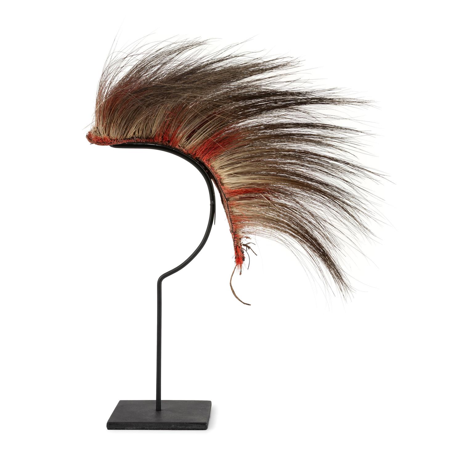 Northern Plains Hair Roach