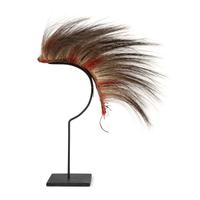Northern Plains Hair Roach