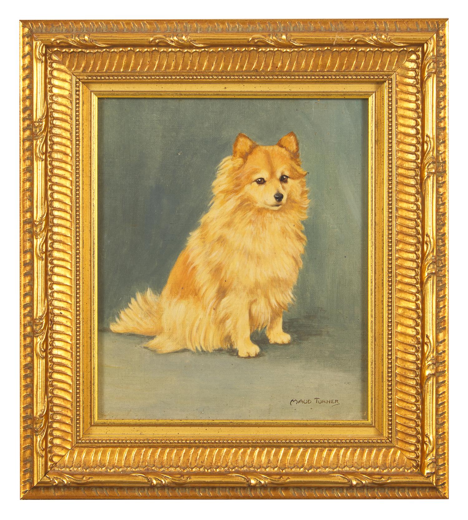 Pomeranian