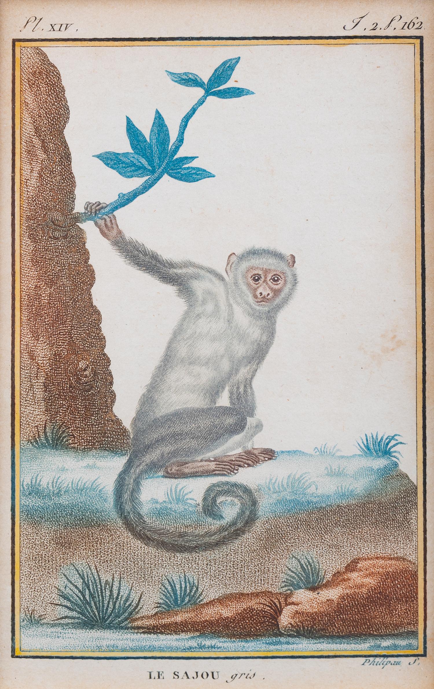 Two Hand-Colored Engravings After Jacques de Seve — EARLY 19TH CENTURY