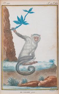 Two Hand-Colored Engravings After Jacques de Seve — EARLY 19TH CENTURY
