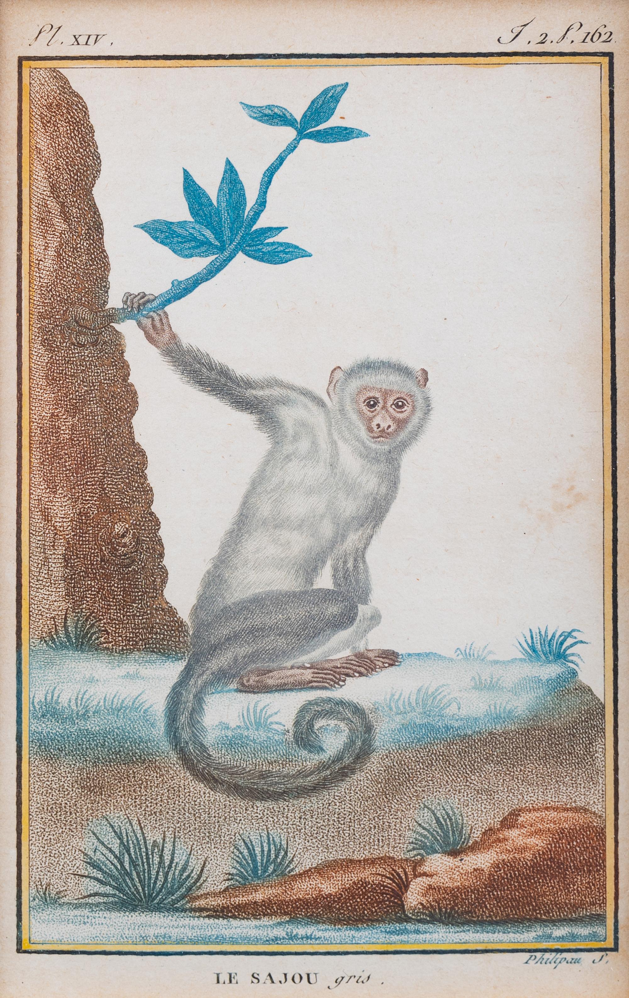 Two Hand-Colored Engravings After Jacques de Seve — EARLY 19TH CENTURY