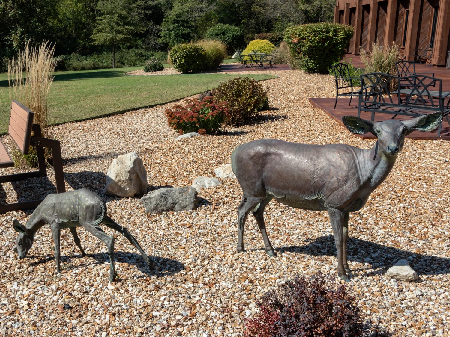 Springtime - Doe and Fawn