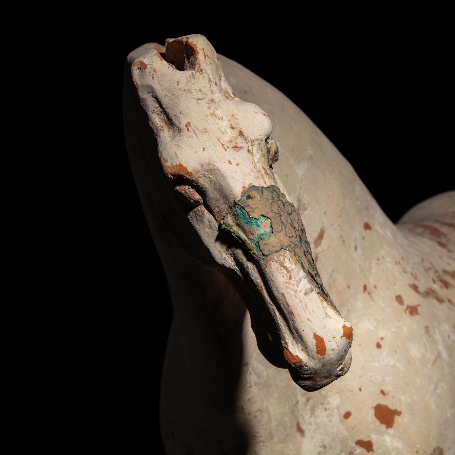 A Chinese Painted Pottery Horse, Tang Dynasty — 唐 白陶馬