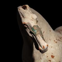 A Chinese Painted Pottery Horse, Tang Dynasty — 唐 白陶馬