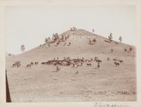 [Western Americana] Huffman, L.A. (1854-1931), photographer. A group of 4 collotypes with western subject matter.