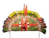 A Juruna Feather Headdress