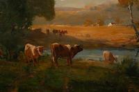 Cows Watering Near the Farm