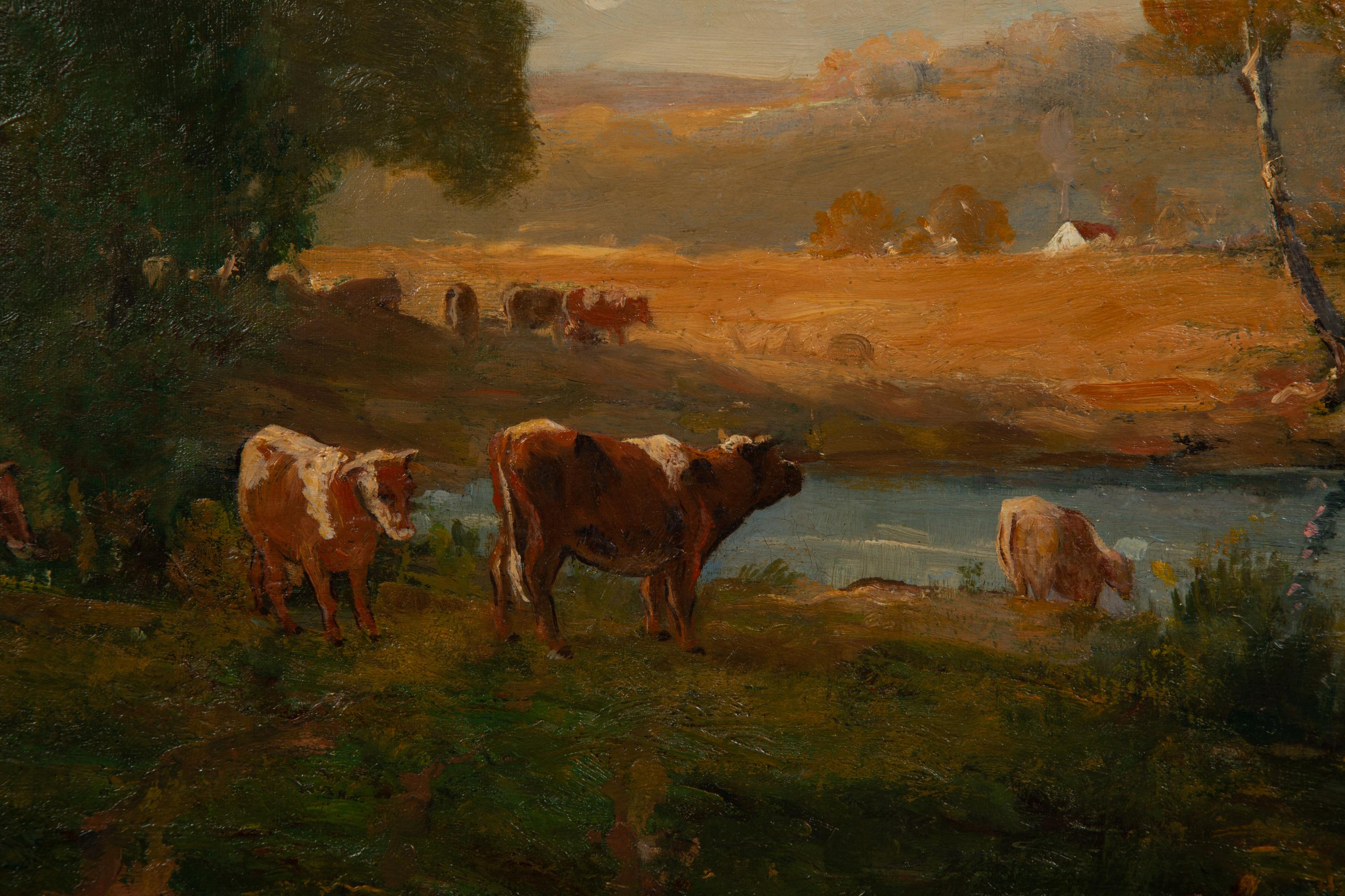 Cows Watering Near the Farm