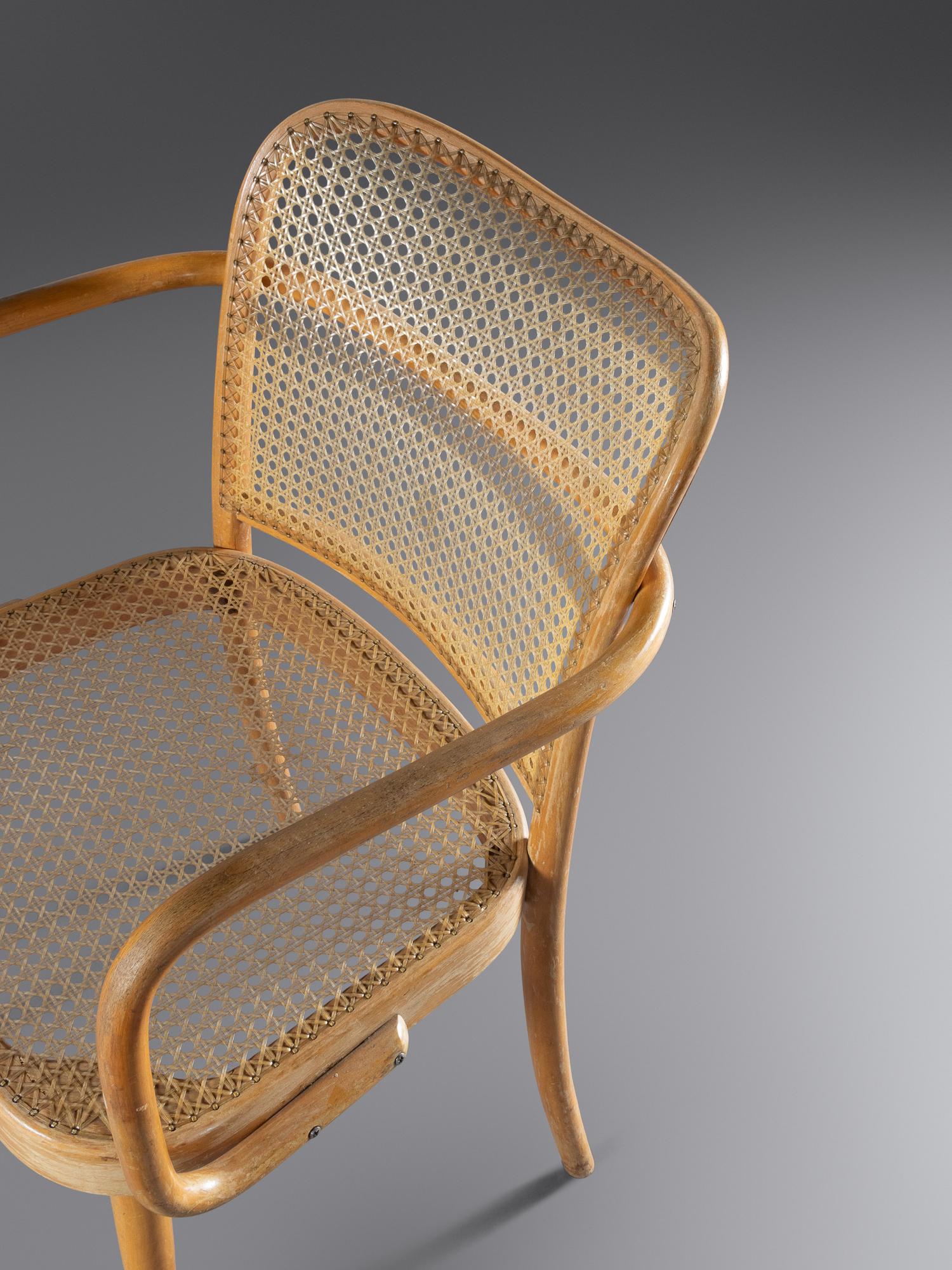 Set of Twelve Dining Chairs Stendig, Czech