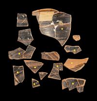 14 Attic Black-Figured Column Krater Fragments