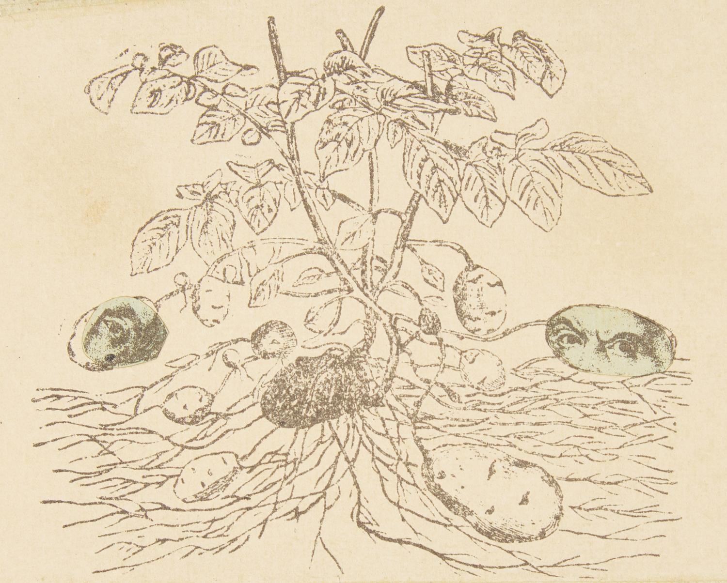 Robert Rauschenberg (American, 1925-2008) — Untitled (from Shirtboards, Morocco, Italy '52 Portfolio ), 1991