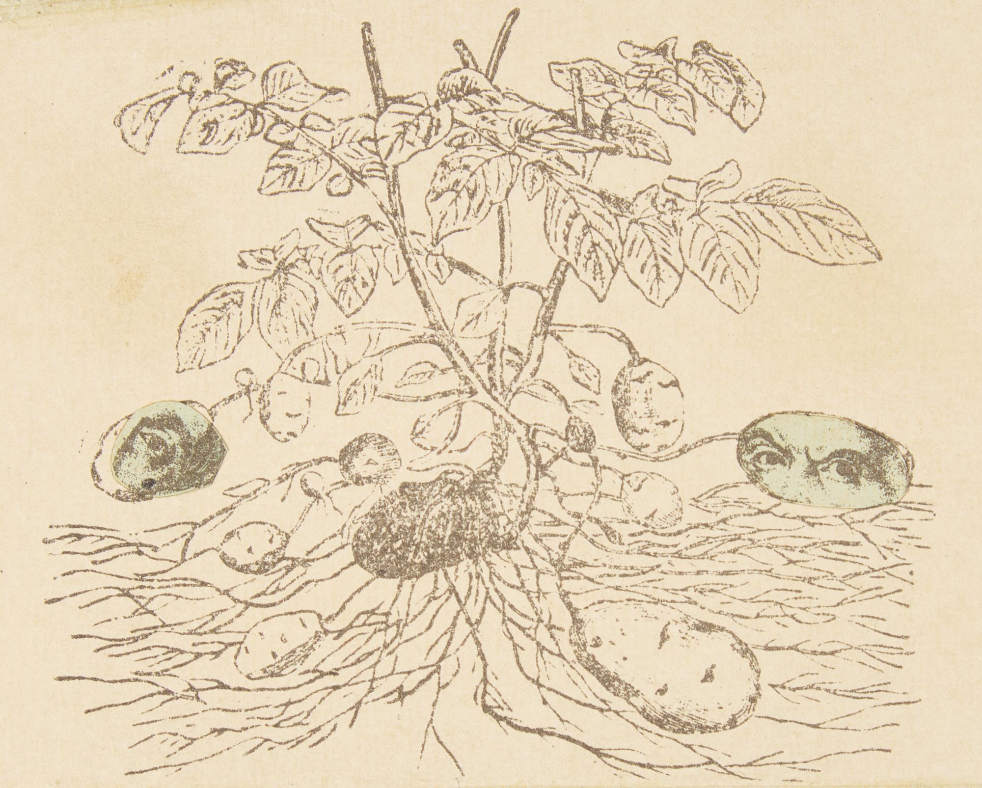 Robert Rauschenberg (American, 1925-2008) — Untitled (from Shirtboards, Morocco, Italy '52 Portfolio ), 1991