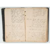 Civil War Diaries of Jared P. Hubbard, 2nd New Hampshire Volunteers
