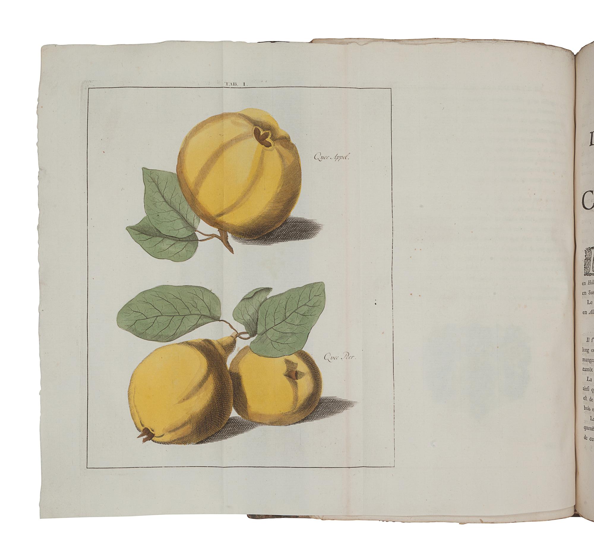 KNOOP, Johann Hermann (ca 1706-1769). Pomologie, ou Description des Meilleures Sortes de Pommes et de Poires. [Bound with:] Fructologie, ou Description des Arbres Fruitiers . Amsterdam: M. Magérus, 1771.