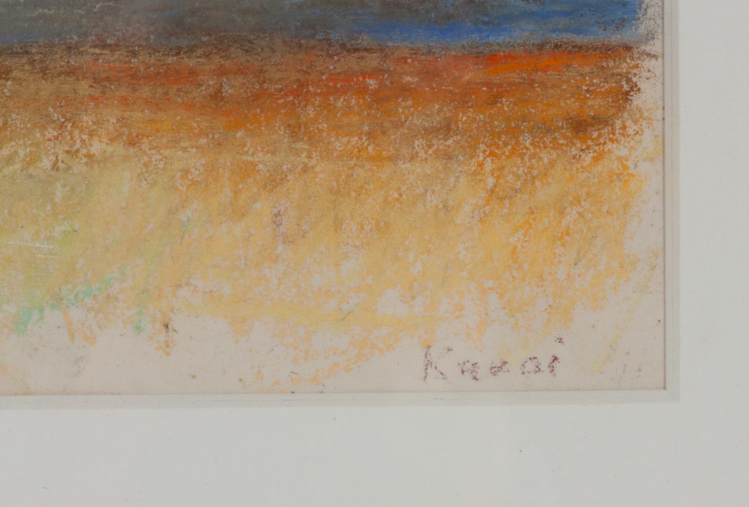 Nature Preserve, Kauai , 1994