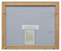 Bark and Marks , 1988