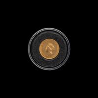An 1854 Indian Princess $1 Gold Coin