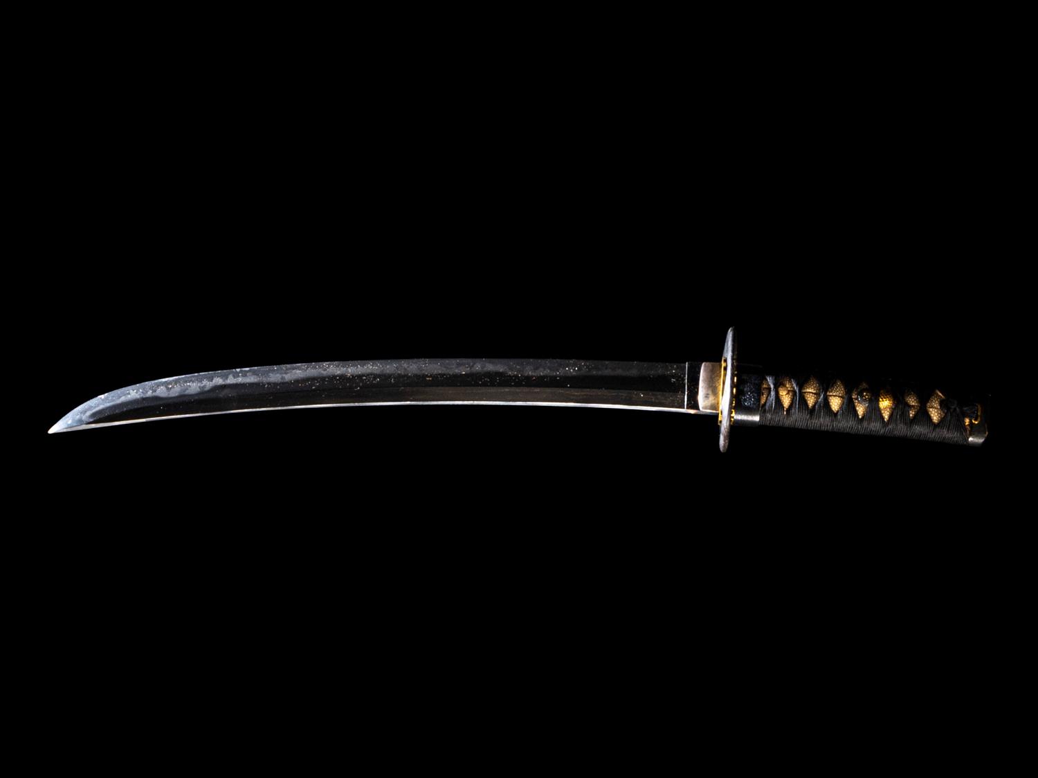 A Japanese Wakizashi