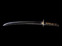 A Japanese Wakizashi