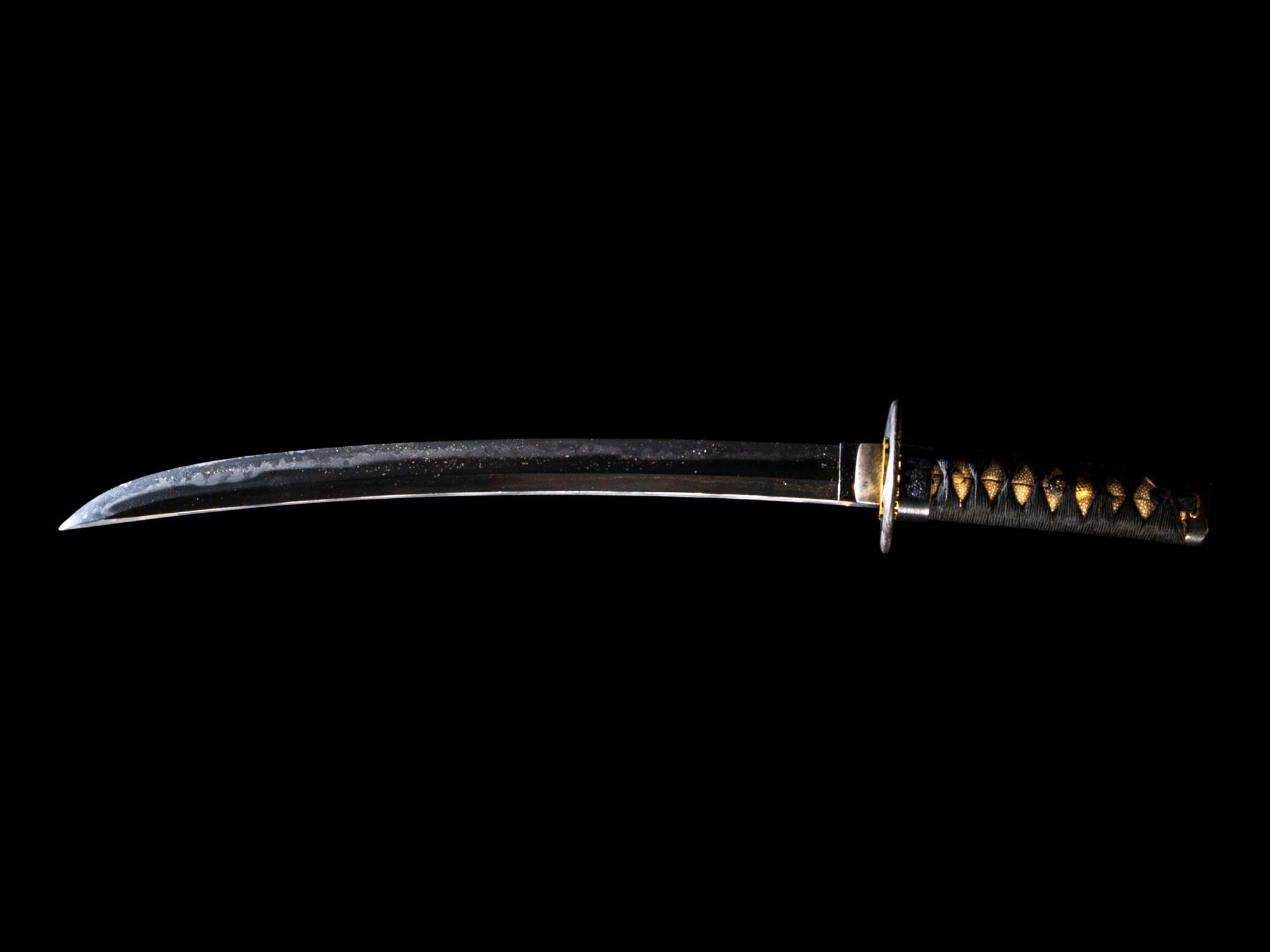 A Japanese Wakizashi