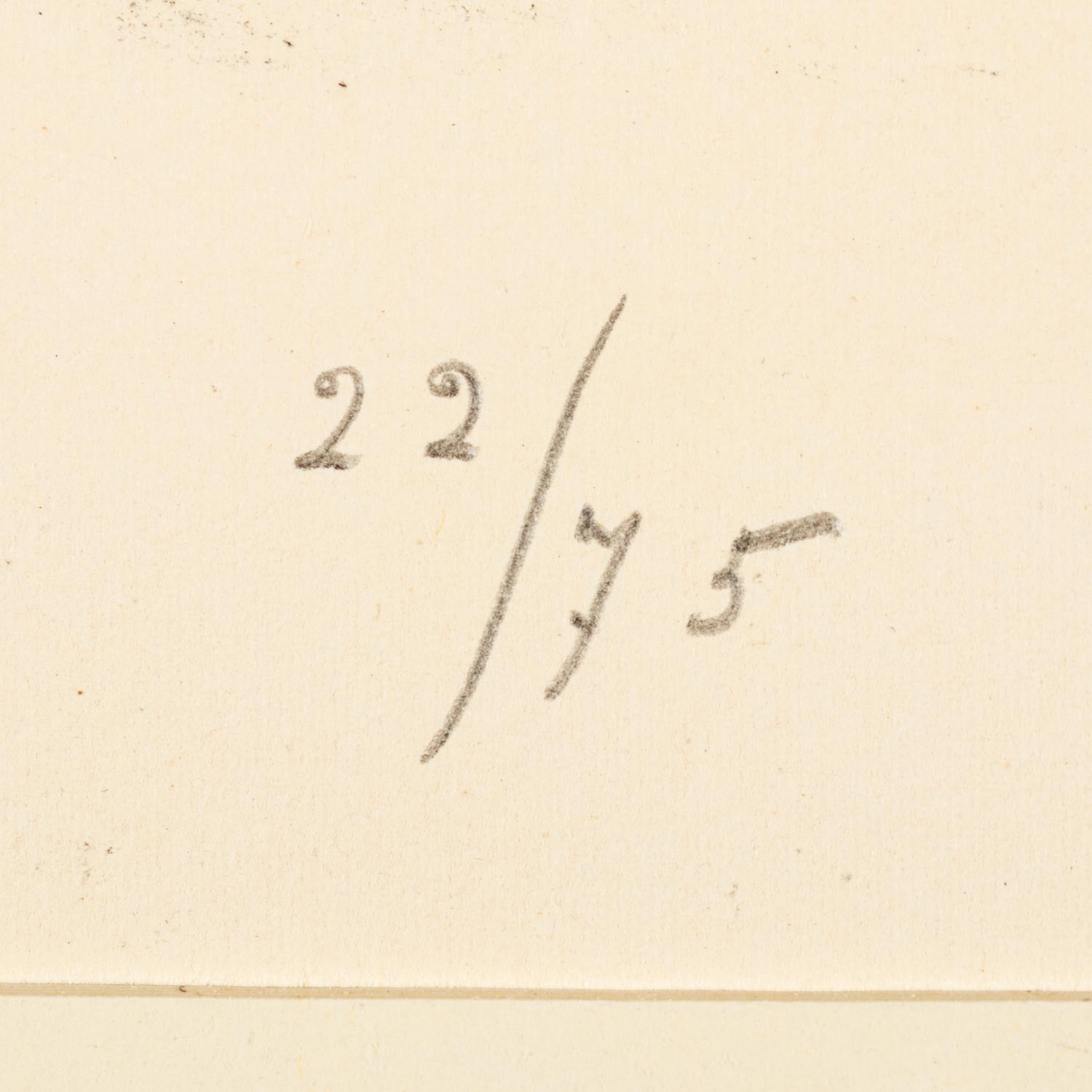 Plate I and Plate X from Album 13