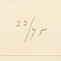 Plate I and Plate X from Album 13
