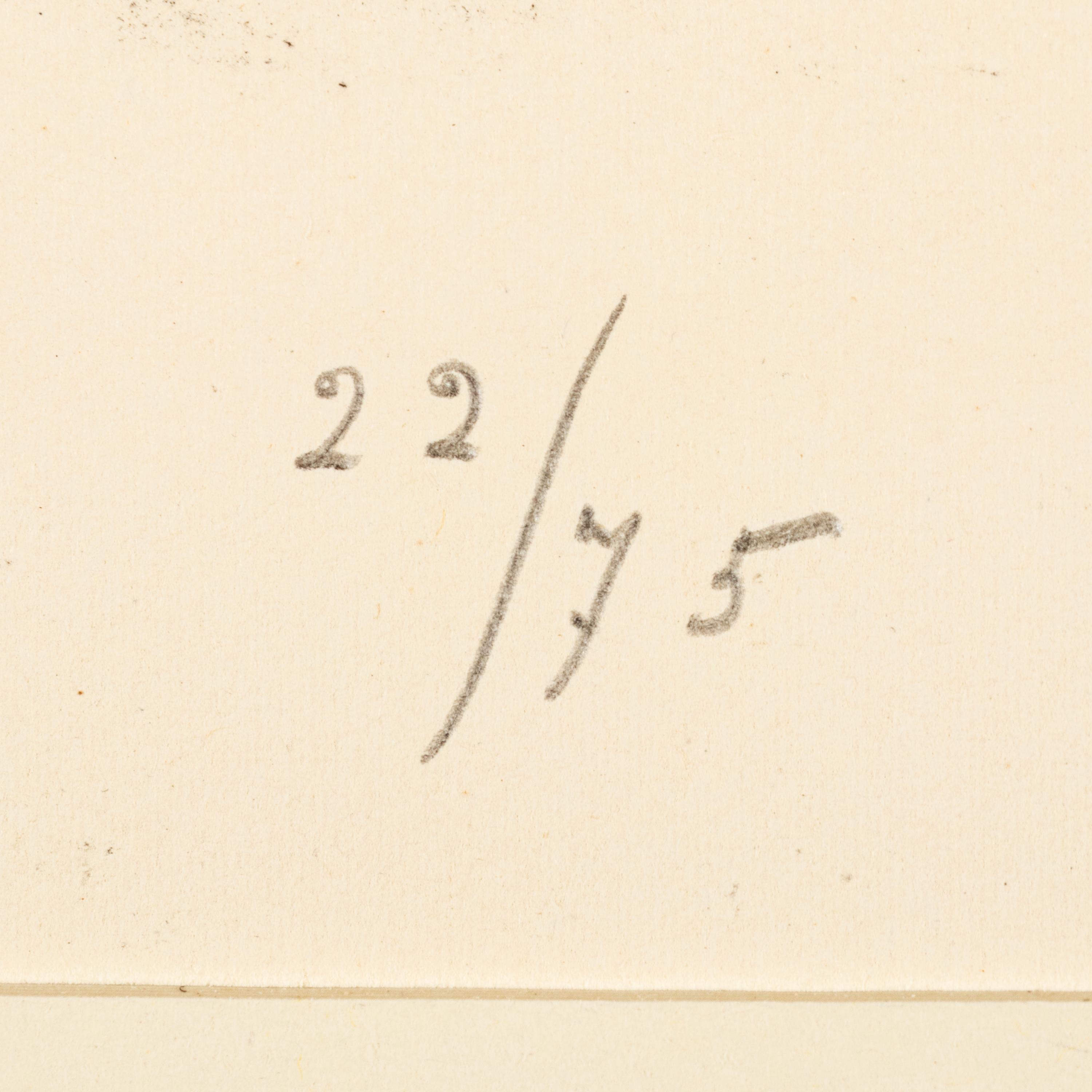 Plate I and Plate X from Album 13