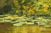 Lily Pond