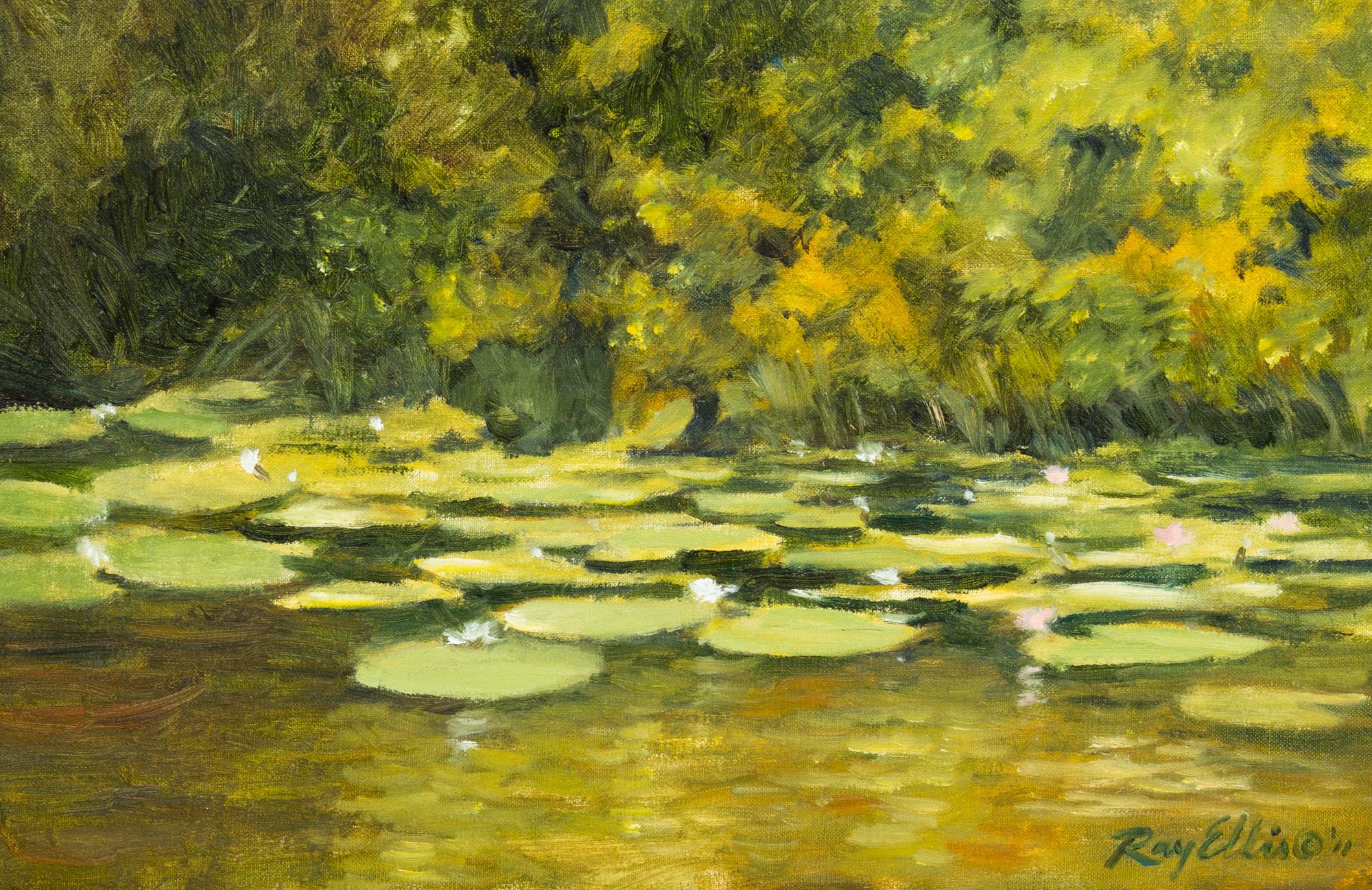 Lily Pond