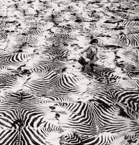 Game Control on Lariak Estate for Gilbert Coleville (from The End of the Game ), 1960
