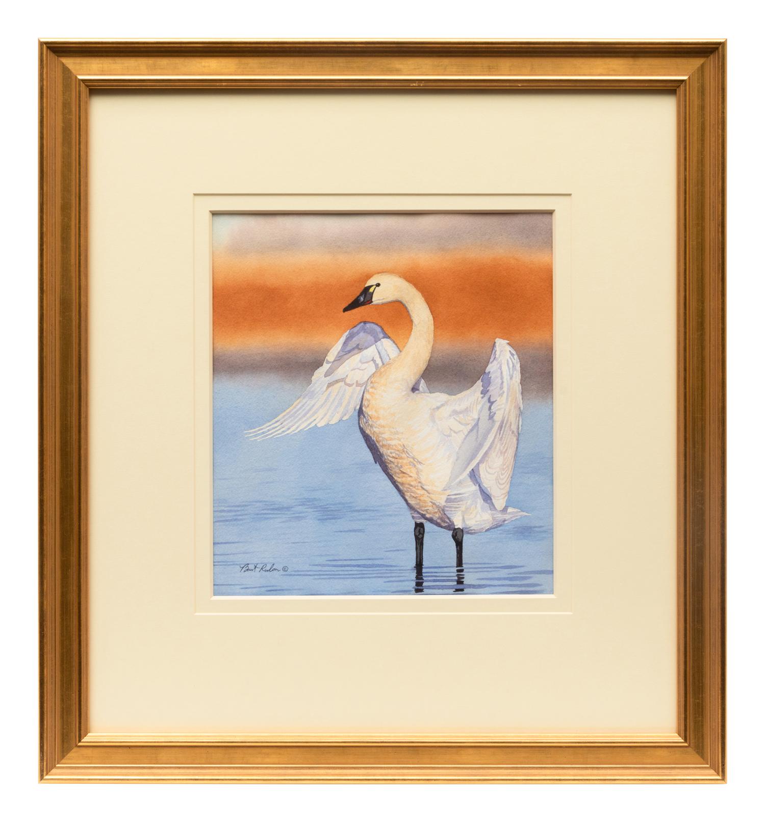 Tundra Swan , 2004