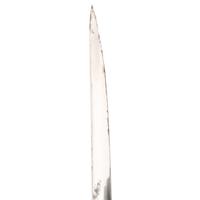 19th Century E.A. Armstrong Mfg. Co. Etched Presentation Sword